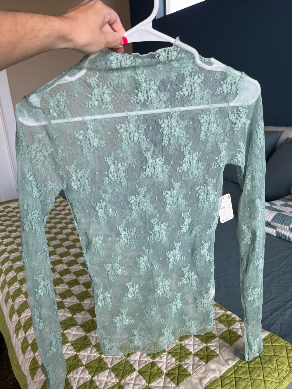 Sheer Lace Long-Sleeve Top in Mint Green
